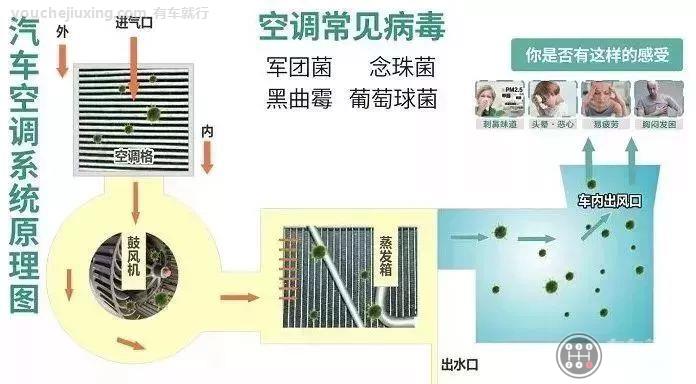 汽车空调长期不清洗对人体的危害有哪些？