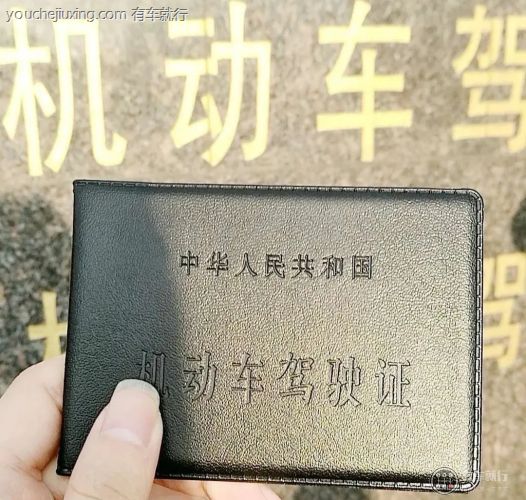 残疾人专用小型自动挡载客汽车有哪些